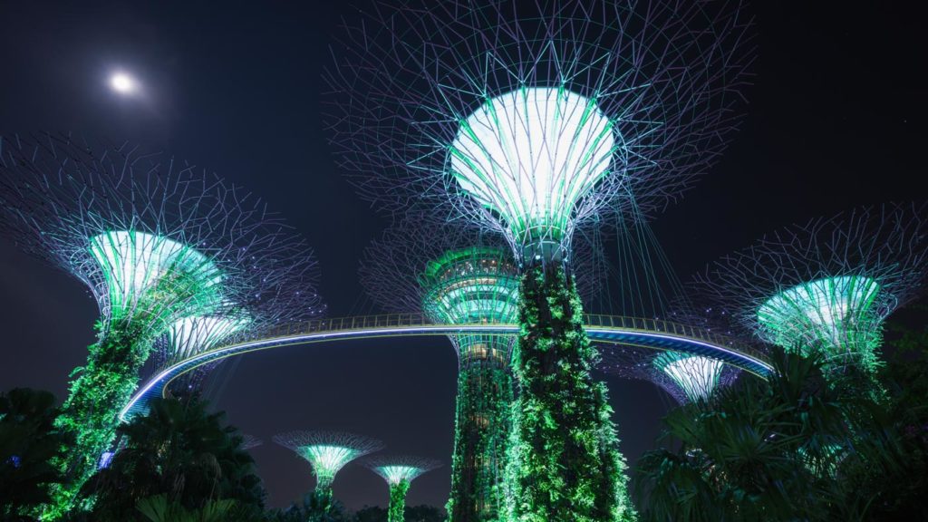 Lightshow at Night: Gardens by the Bay
