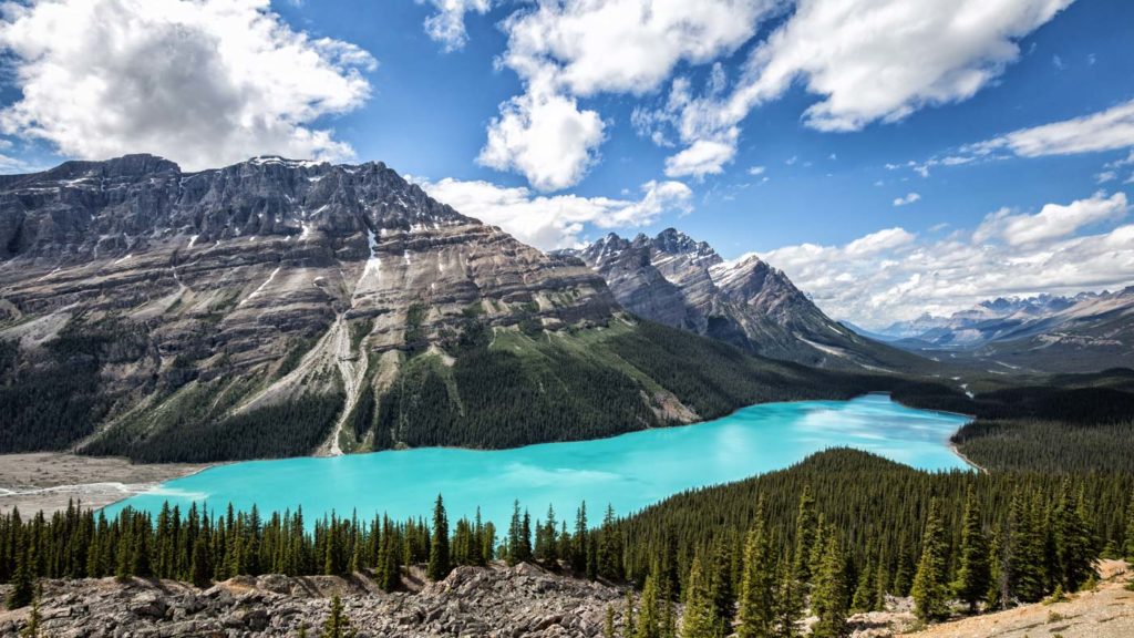 Bow Summit Lookout: Panorama of the surreal Peyto Lake
