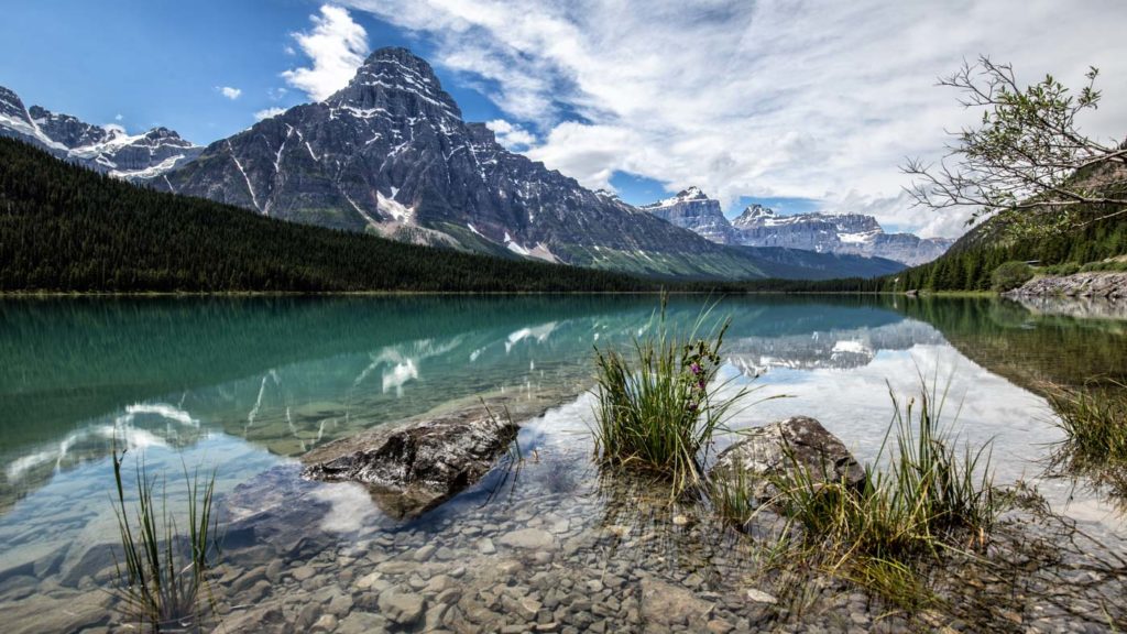 Photo Location next to Icefields Parkway: Waterfowl Lake