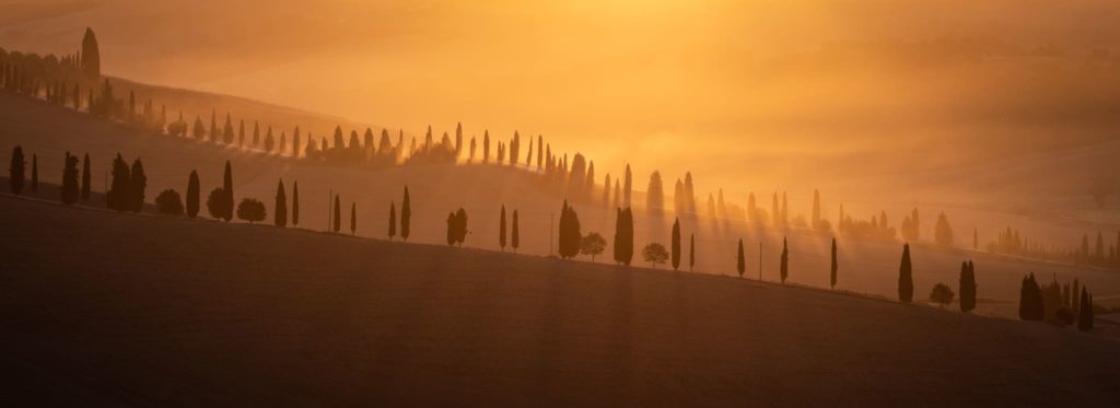 Golden Sunrise at Crete Senesi, Tuscany - Landscape 